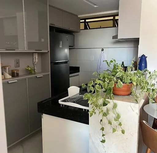 Apt 207